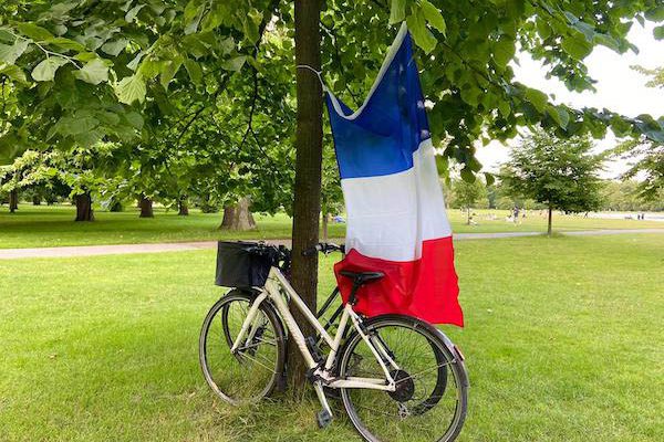 Bike and french flag hanging from tree in park