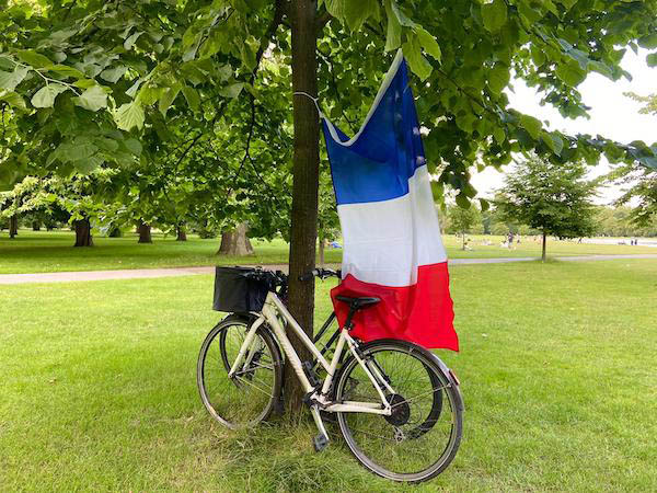 Bike and french flag hanging from tree in park